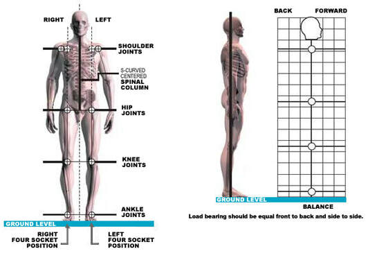 POSTURAL ALIGNMENT THERAPY - ABLE BODIES